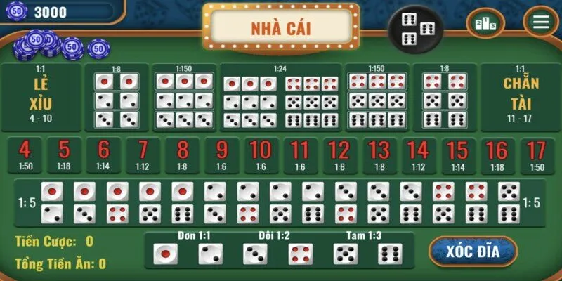 Cầu 2 nhịp qua cách phân tích kết quả