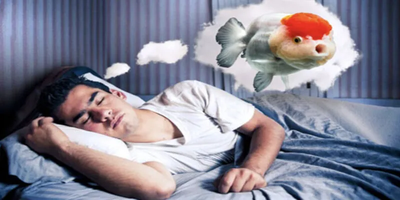 Nằm Mơ Thấy Cá