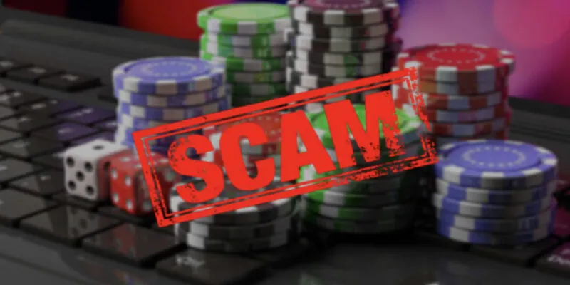 M8win lừa đảo có phải sự thật không?